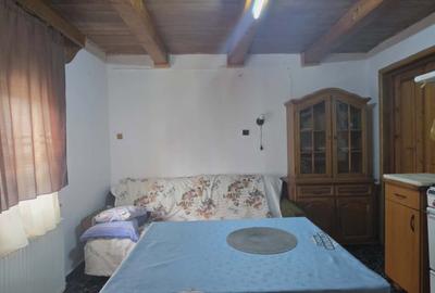Casă cu teren 3.000 mp de vânzare, str. Adevărului-CV0529 - 14