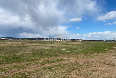 Teren Construcții intravilan de 900 mp, în Dumbrava Roșie