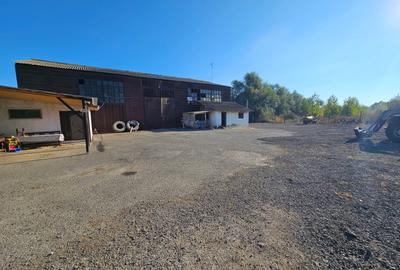 Oportunitate Teren deschidere la E87 Smardan Tulcea - 4