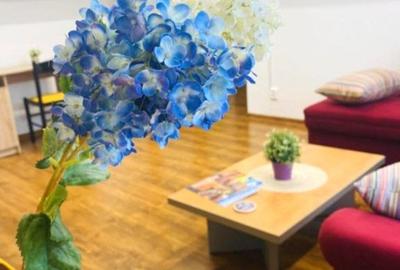 Apartament cu 2 camere decomandat, pet-friendly, Bulevardul Unirii - Fantani - 2