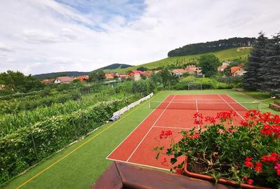 Hotel Bielmann,unicitate si profitabilitate optima in turism,Sanpetru, Brasov - 28