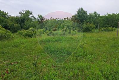 Teren Silistea Snagovului 500 mp apropiere padure - 1