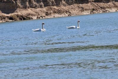 Peris langa raul Ialomita teren 10250 mp intravilan deschidere 46 ml - 4