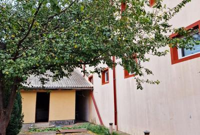 VIND VILA CU SPATIU INDUSTRIAL LOCUIT (pretabil la orice activitate) DASCALU IF - 3