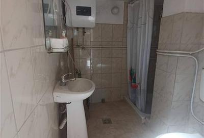 Cabana de vanzare in Saliste - 7