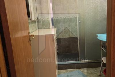 Vanzare apartament 2 camere Lizeanu - 20