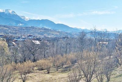 Comision 0%! Teren superb de 17000mp la 5 min de Castelul Bran, 13 euro/mp - 2