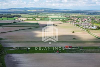 Teren intravilan | 687 MP | Aninoasa - 5