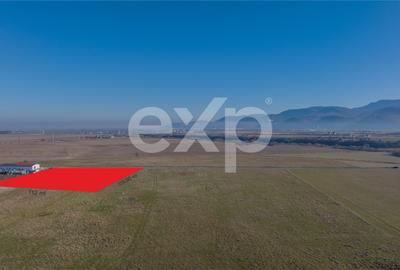 Teren 11.600 mp – Râșnov, zona Tabăra, 230 m de DN 73 - 2