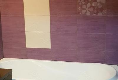 Doua camere zona Piata Muncii IOR - pet friendly - 11