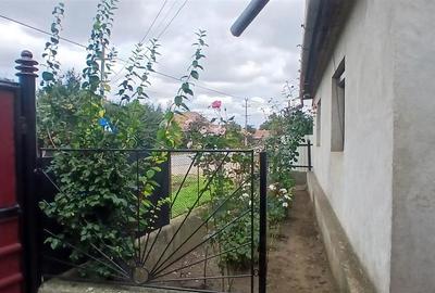 RECO Casa cu teren mare in Diosig - 7