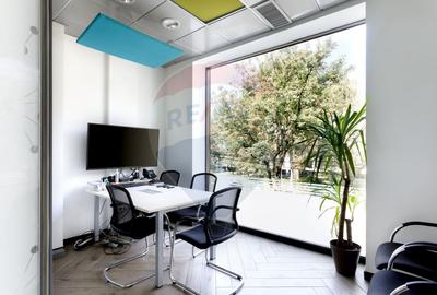Spațiu de birouri (500 mp) - zona ultracentrala - 12