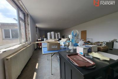 2 Spatii de birouri de inchiriat in Timisoara, Calea Sagului - ID C5489 - 4