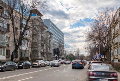 Floreasca / Apartament cu doua camere / centrala termica - 10