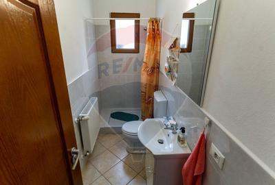 Vila/Pensiune de vanzare Bacia,jud.Hunedoara - 15