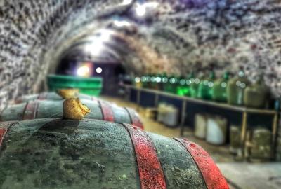 Investiție rară în Bihor - 4