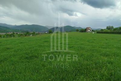 Teren de vinzare in Tropini Vechi - 1