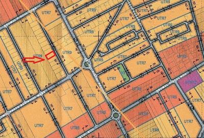 Pădurea Băneasa - 3