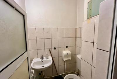 Spatiu comercial Baza 3 Carrefour Felicia 46 mp - 8