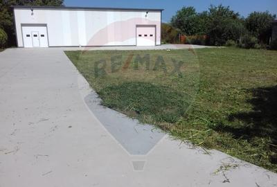 Spațiu industrial, de 160 mp, în Mirceștii Noi