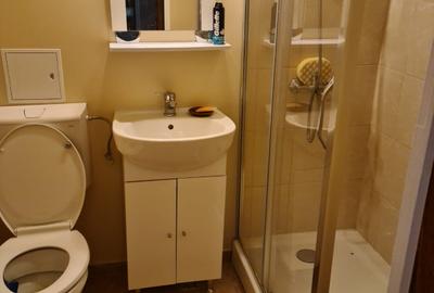Apartament Drumul Taberei - Liceul Lovinescu - Valea lui Mihai - 19