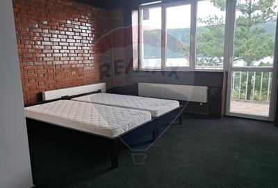 Pensiune Eselnita / 16 camere / Teren - 1448 mp / Ponton - 28