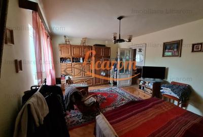 Proprietate individuala-3 apartamente,spatiu comercial,garaje,gradina,curte - 9