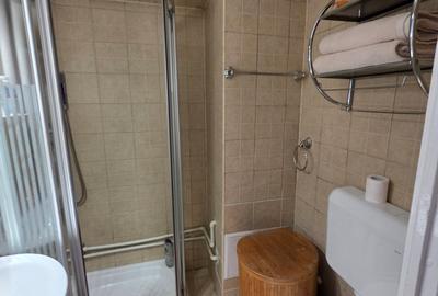 2 camere Piata Amzei etajul 2/7 mobilat utilat - 11