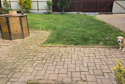 Vand casa in Deva, S+P+M + filigorie, zona Viile Noi (str. Luncii), - 3