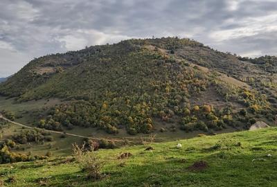 VÂND TEREN EXTRAVILAN 10.000 MP – ZONĂ MONTANĂ ARGEȘ - 1