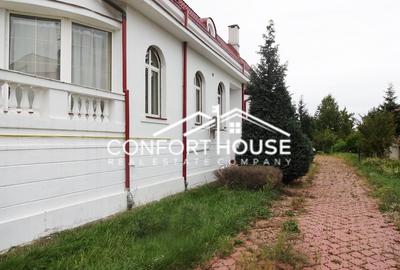 Proprietate impresionanta D+P+M, teren 4781MP, IANCU NICOLAE - 25