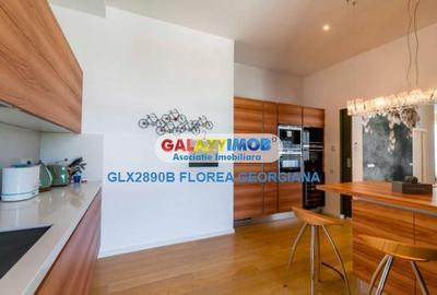 Apartament 4 camere Penthouse -Madrigalului - 23