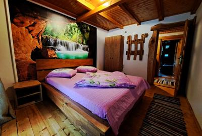 Cabana / Pensiune 9 dormitoare de vanzare, Valea Ierii,  Cluj - 4