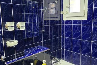 Vanzare garsoniera Pantelimon, Morarilor, cu chirias, vedere parc,bloc fara risc - 7