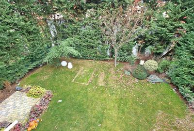 Vila Iancu Nicolae - 13