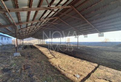 Ferma complet echipata de vanzare – zona Agnita, judetul Sibiu - 10