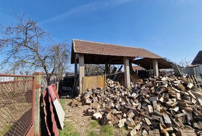 Teren mare cu 2 case in Sabolciu, com. Sacadat - 19