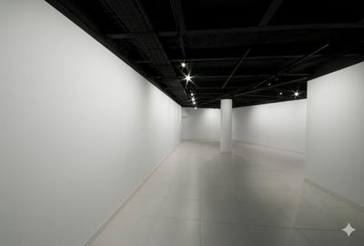 Spatiu pentru expozitii, galerie de arta - Romana - 1