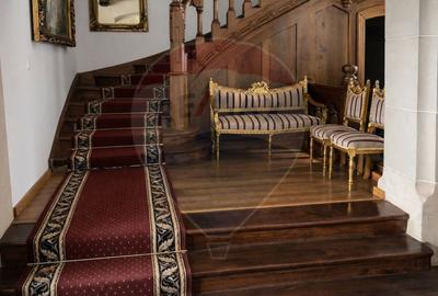 Palatul Stirbei - Darmanesti - 9
