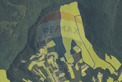 Padure 9 ha Cluj - 1