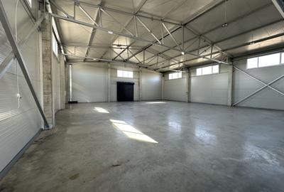 Spațiu industrial, în Torontalului