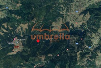 Teren de vanzare 29.131m²/35€ m² lac Belis, la Paraul Butoaie, Giurcuta - 6