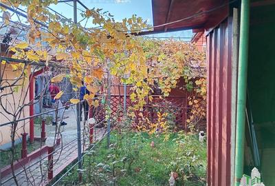 Casa 4 camere cu teren 260 de metri, zona linistita Brancoveanu - 10