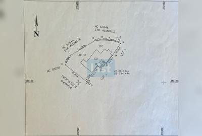 Casa 3 camere aproape de Dunare - 10