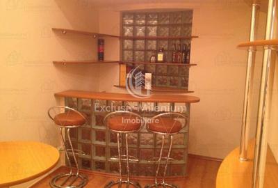 Parter Apartament la Vila Ideal Birouri Domenii - Banu Manta -Grivita - 5