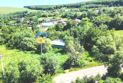 TEREN intravilan + casa  DOBRENI - SARATA - 1