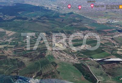 Teren de vanzare intravilan 8900mp Sura Mare zona deosebita - 1