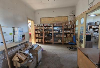 Judetul Prahova, in Poienarii Burchii, conac neoromanesc si teren 2.800 mp - 23