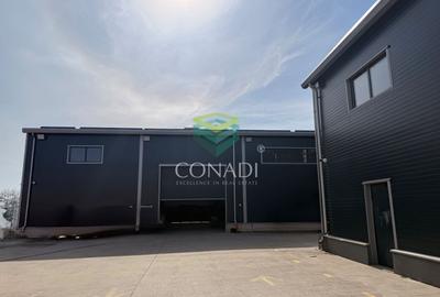Hale premium cu Spatiu de birouri– zona Oxigenului – Cernica - 2