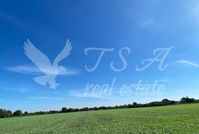 Teren Intravilan 825mp Cu dubla deschidere si Drum de servitute, Dascalu  Ilfov - 4